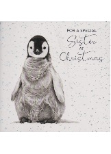 For A Special Sister At Christmas